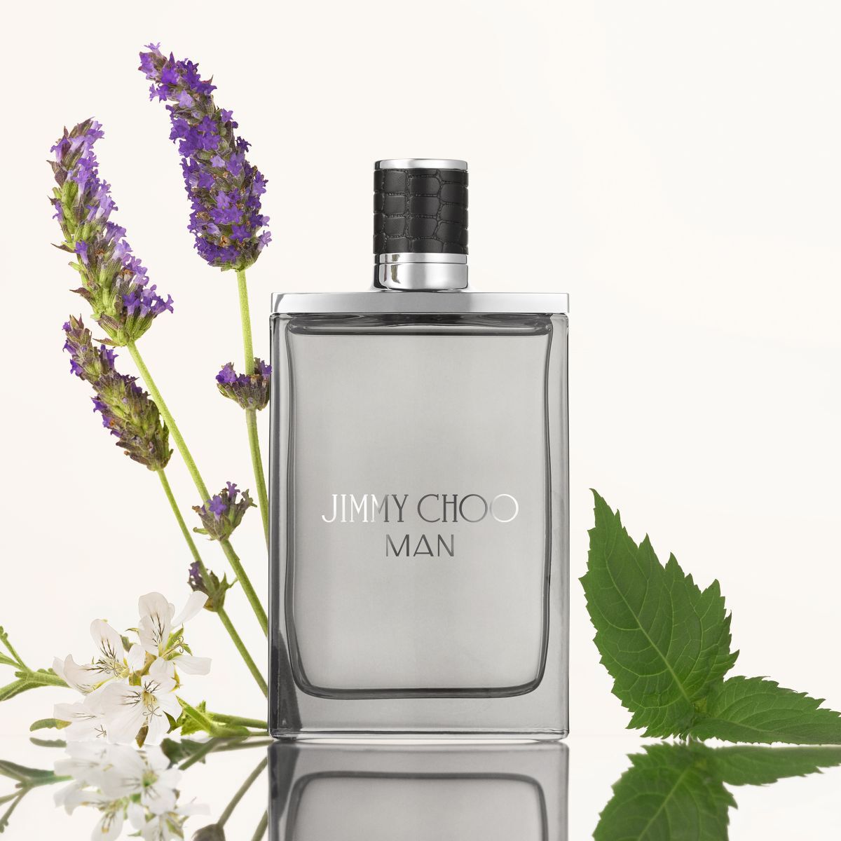 Jimmy Choo Eau de Toilette 50ml Heren