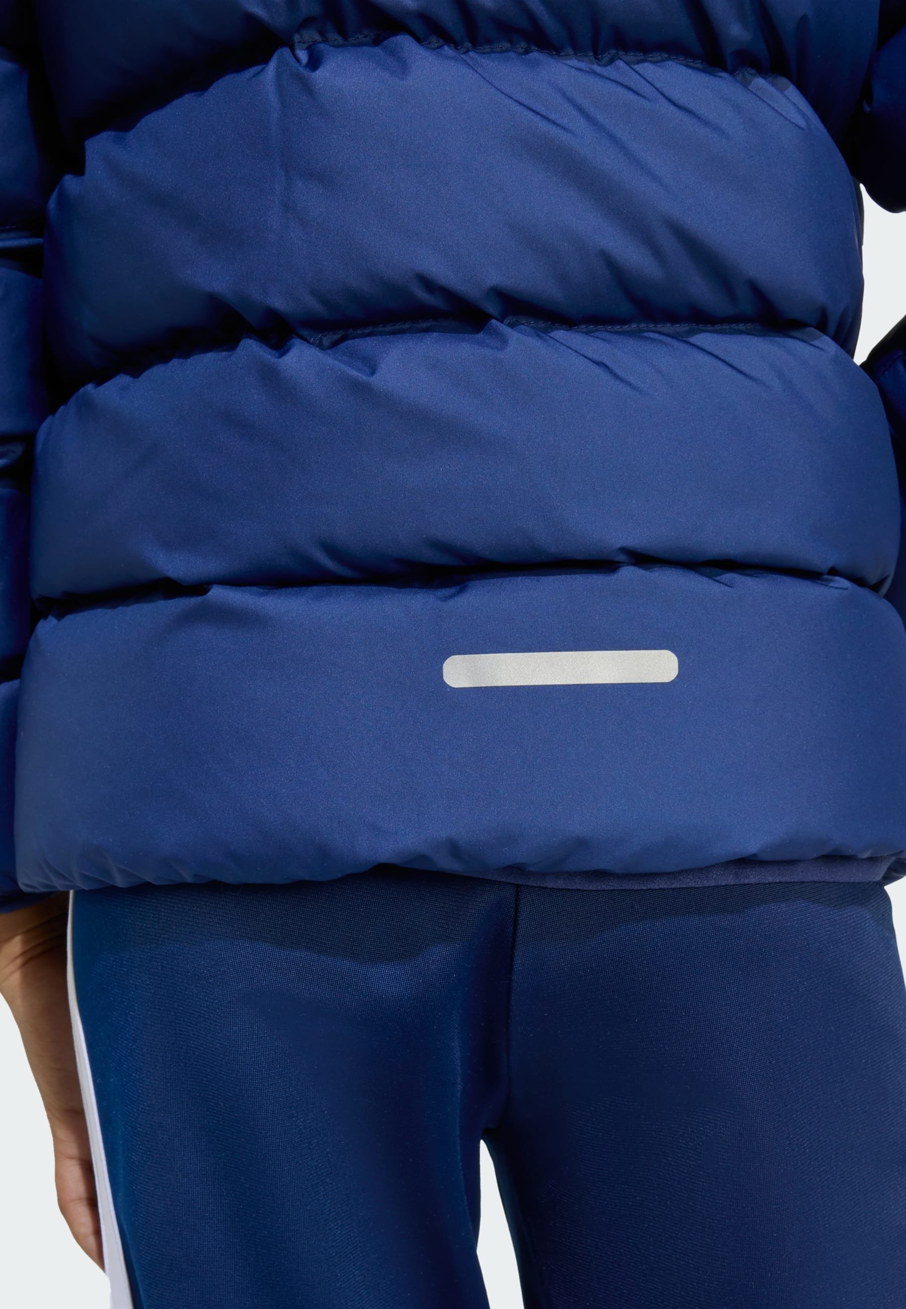 adidas Performance winterjas - donkerblauw, team koningsblauw, gloeiend blauw