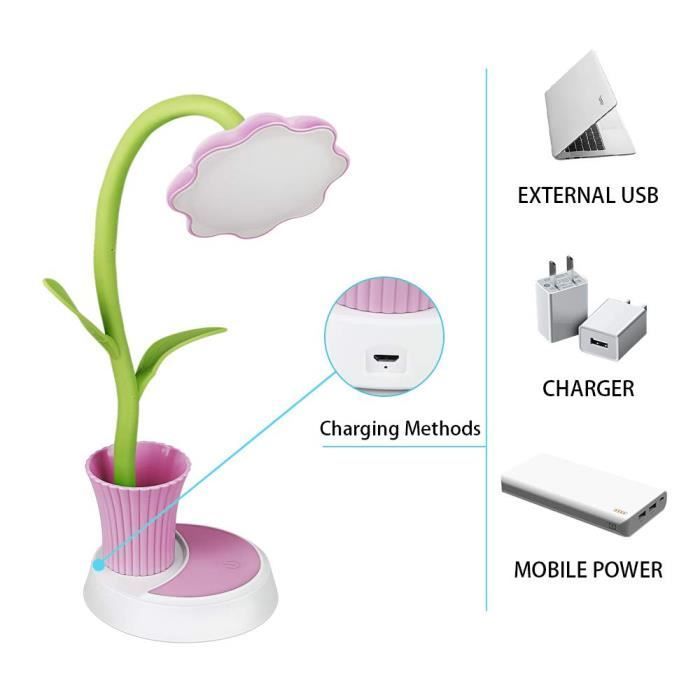 Lampe de Bureau - ZGEER - Lampe de Table Rechargeable USB - Rose - LED - 3W - Liseuse