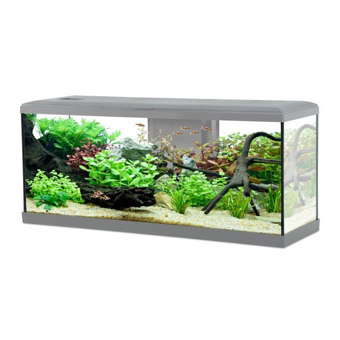 Aquarium poisson Tana LED 100cm gris - Zolux Gris