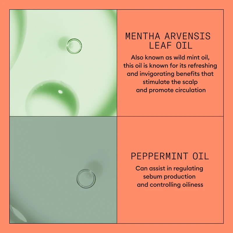 Nioxin System 4 Kopfhaut- und Haarspülung – Feuchtigkeitsspendende und pflegende Spülung für coloriertes und geschädigtes Haar