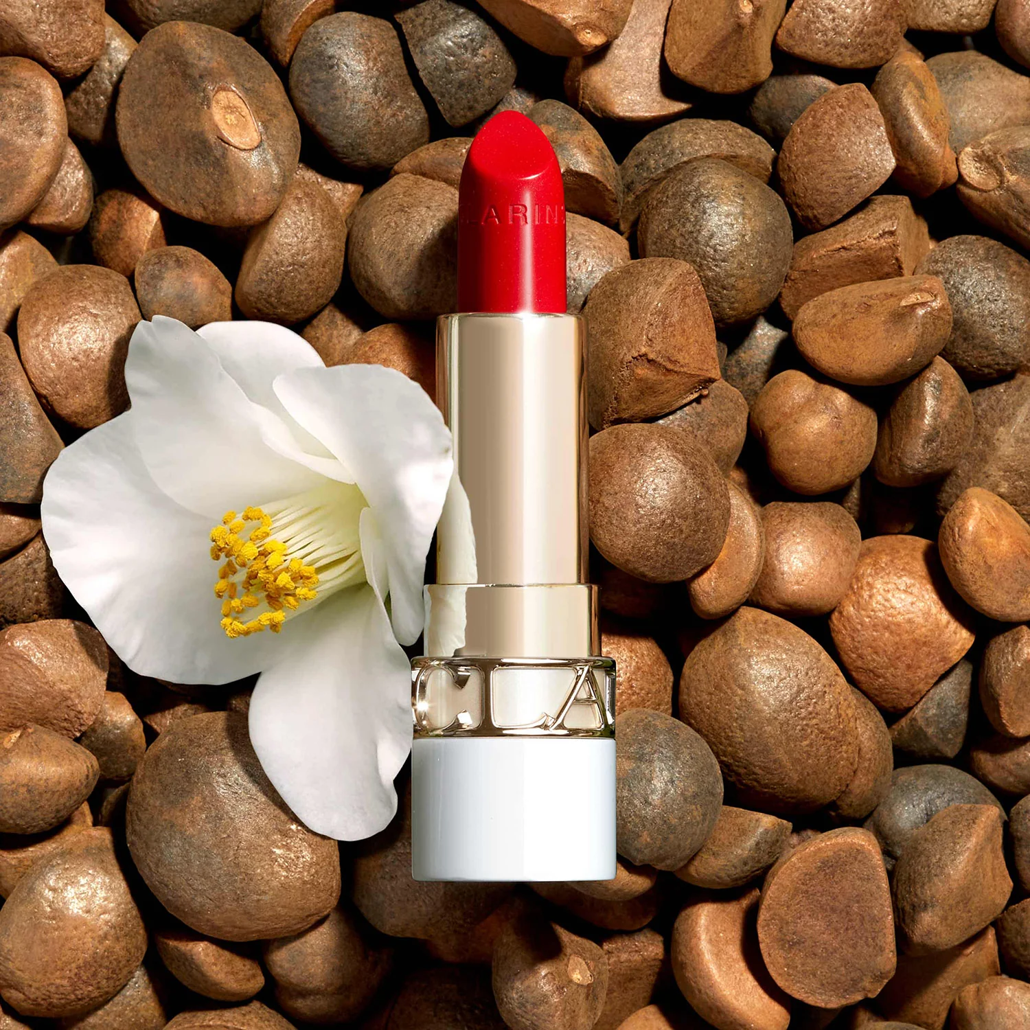 Labbra Joli Rouge Shine - Rossetto brillante, Rossetto