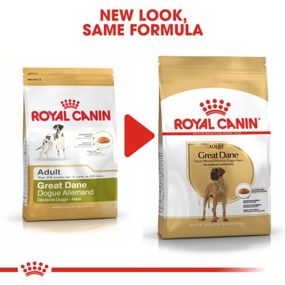 Royal Canin Great Dane Adulto