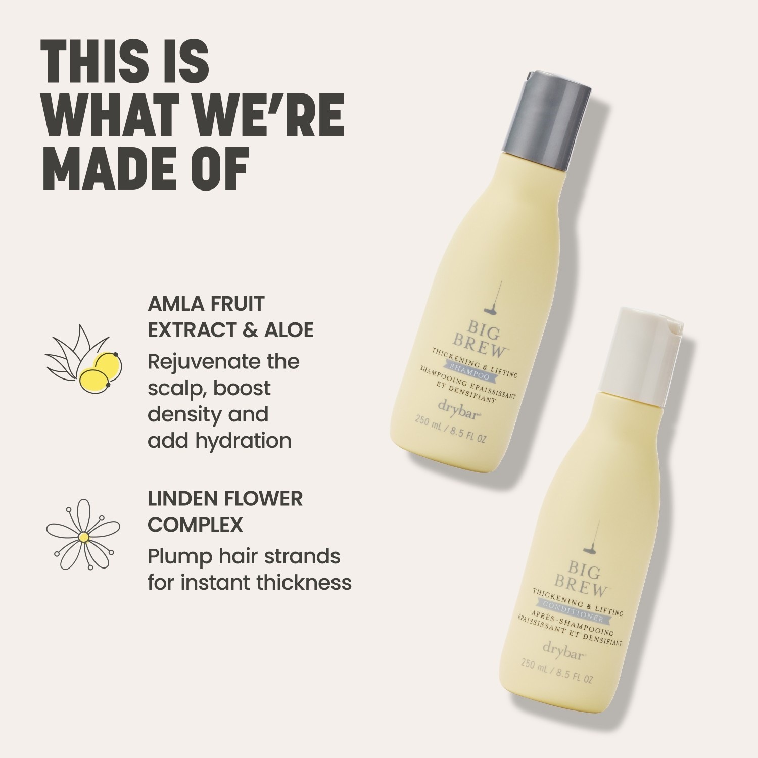 drybar Big Brew Verdickendes und Volumen-Shampoo - 250 ml