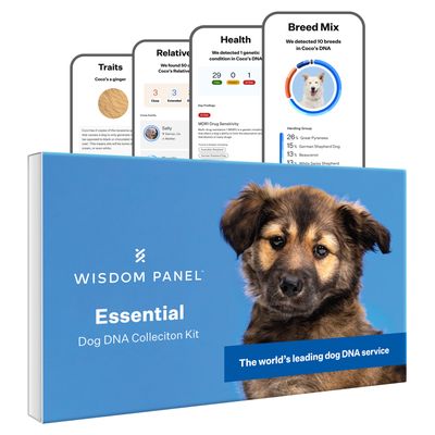 Wisdom Panel™ -koiran DNA-testi