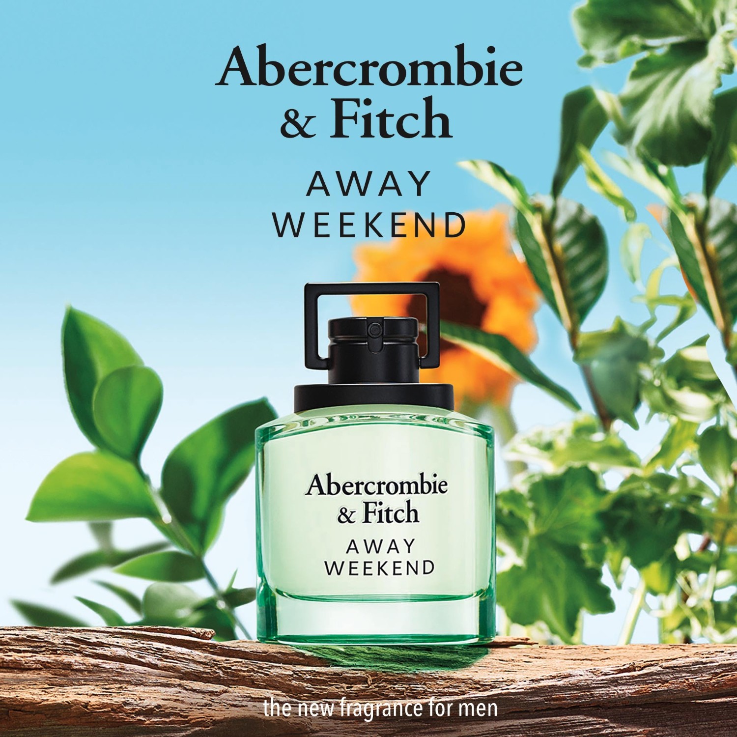 Abercrombie & Fitch WEEKEND Homme
