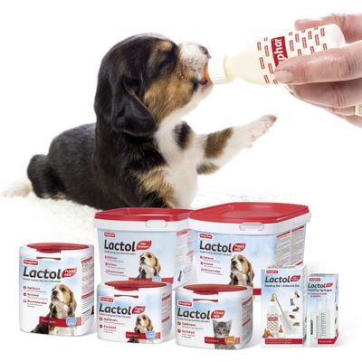 latte per cuccioli Beaphar Lattol