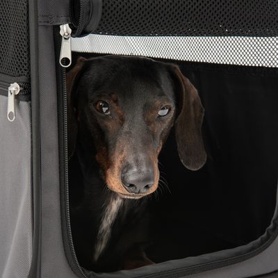 Cutie de transport pliabilă pentru câini Fiona