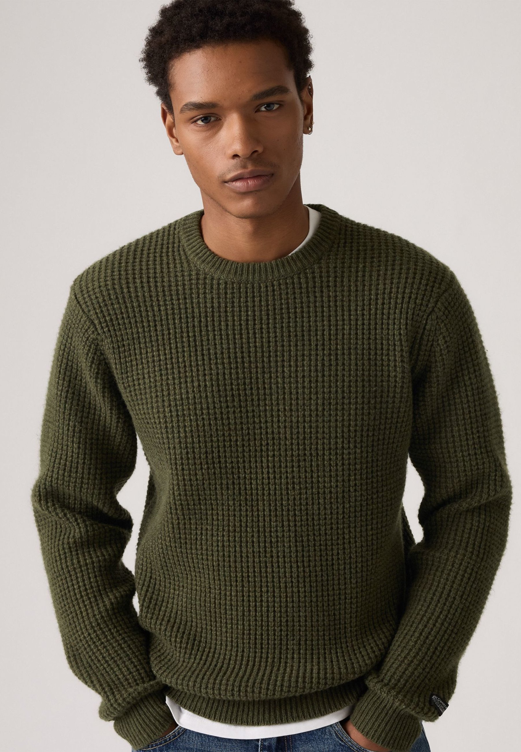 Levi's® PRESIDIO CREW - Trui - herfstbladeren heide