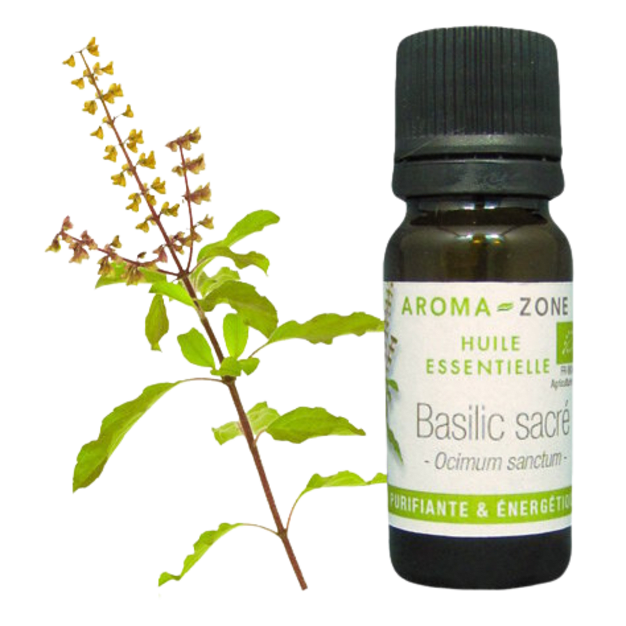 Huile essentielle Basilic sacré BIO 10ml