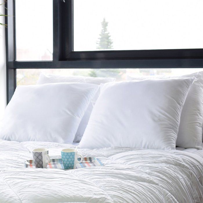 Set of 2 boilable pillows - 60 x 60 cm - Soft - BLUE CALIN - White