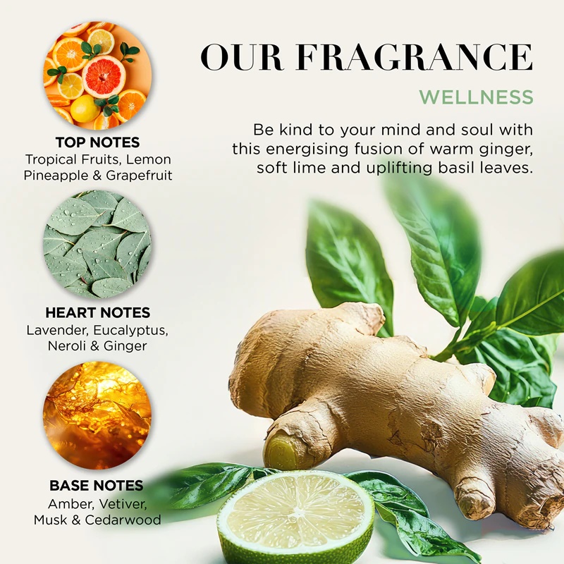 Baylis & Harding Wellness. Energise поклон сет за тело са ђумбиром, лиметом и листом босиљка