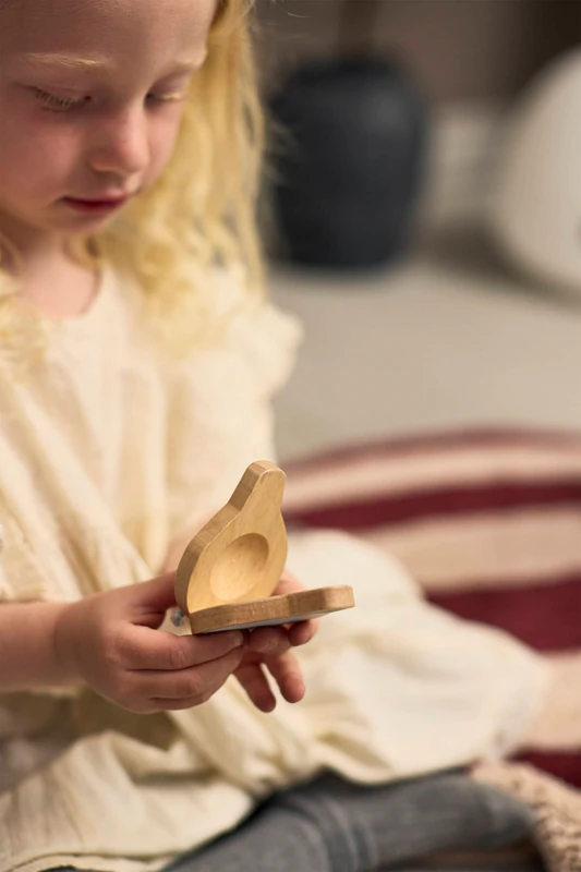 FILIBABBA Spielset Mein erstes Holzspielzeug-Instrumente-Musikspielzeug für Kinder
