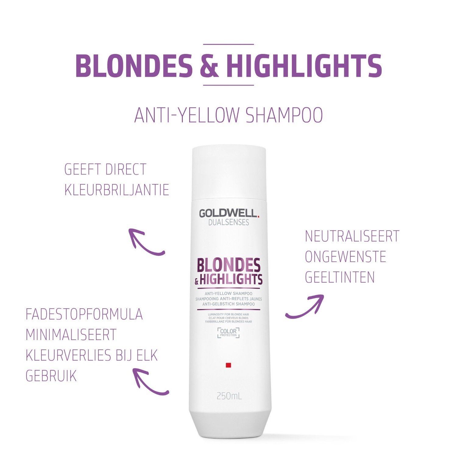 „Goldwell Dualsenses“ šampūnas šviesiems plaukams ir sruogelėms nuo geltonų atspalvių – 250 ml