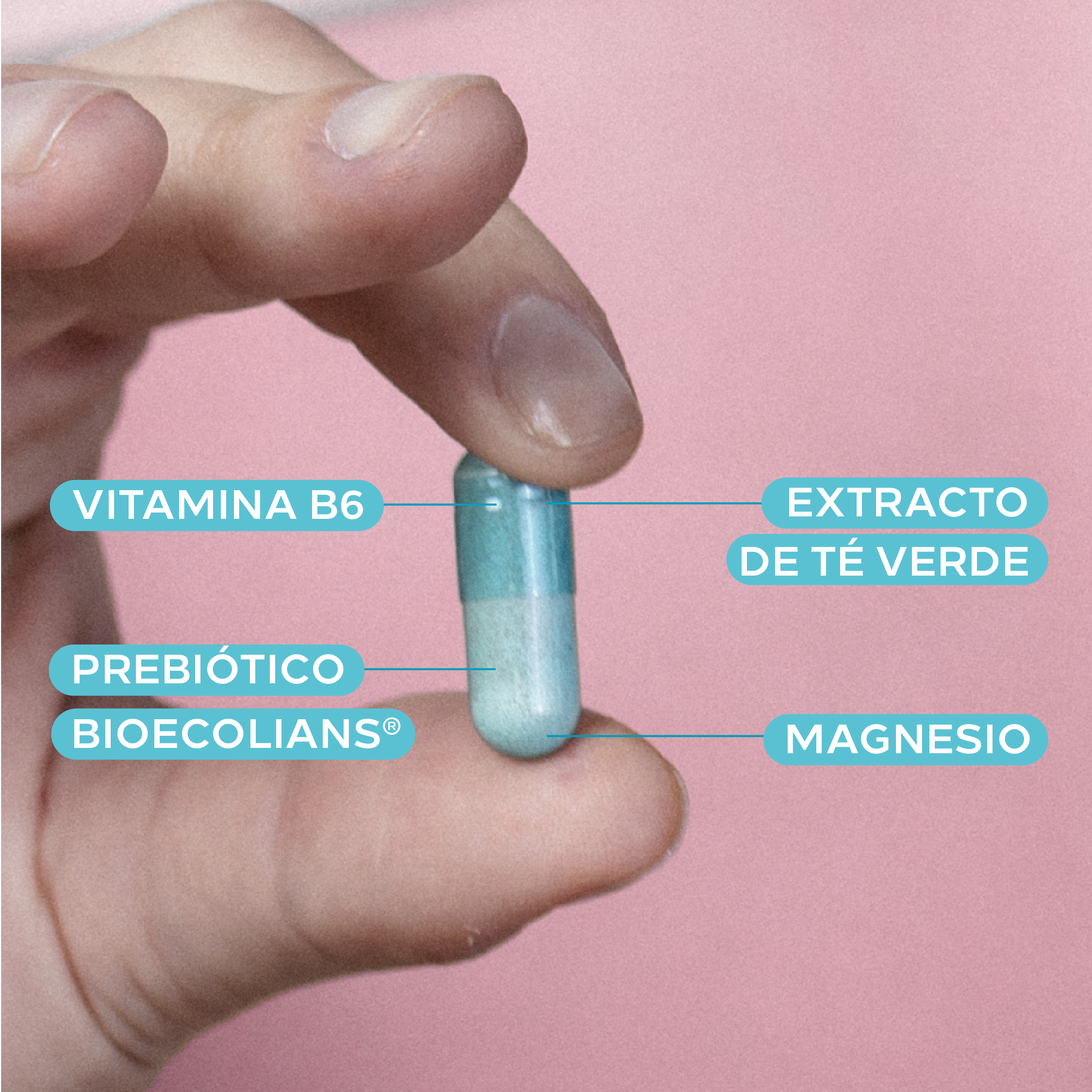 Drenaqua kapsule Prehrana i dijetetika
