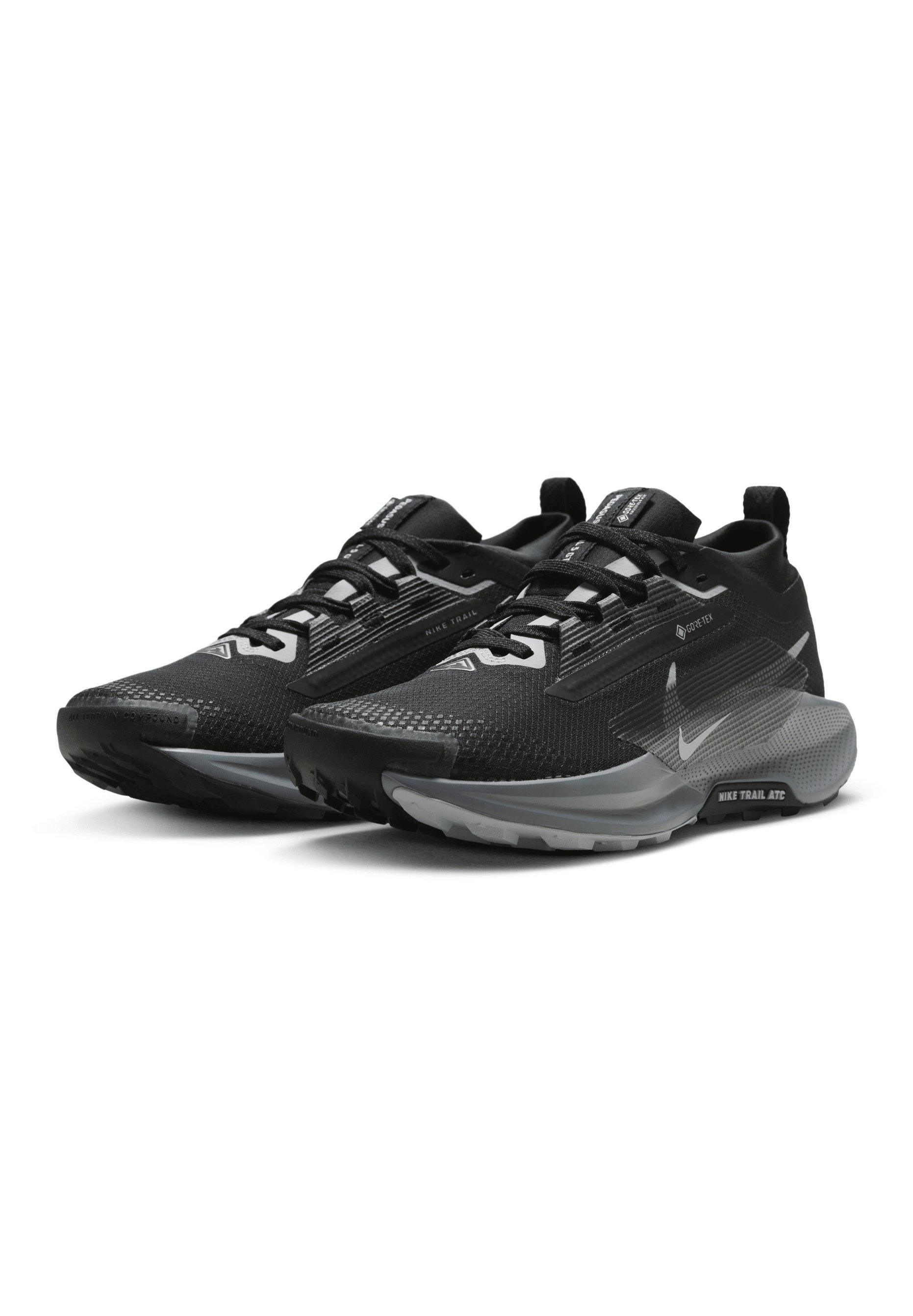 Nike Performance PEGASUS 5 - Chaussures de trail running - Noir/Gris loup, Gris froid, Anthracite, Argent réfléchissant