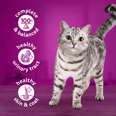 Whiskas 1+ dåser 12 x 400 g