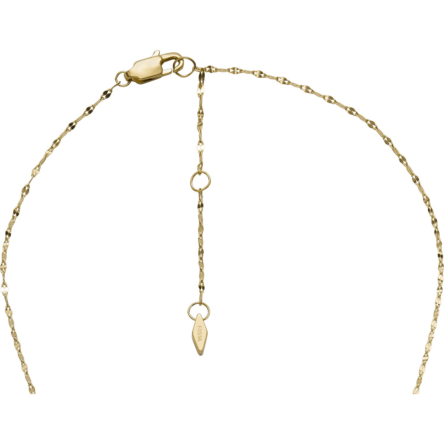 Fossil Chaînes