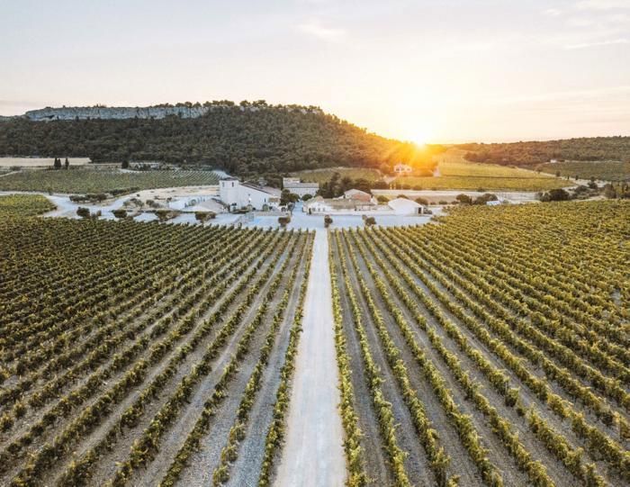 Vino blanco orgánico y biodinámico Château l'Hospitalet La Réserve 2022. Lote de 3 botellas de 75 cl.