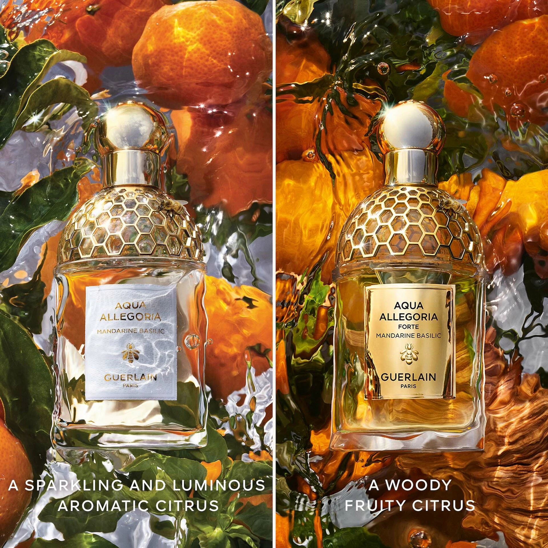 Aqua Allegoria Mandarine Basilic Forte EdP 75 ml - GUERLAIN