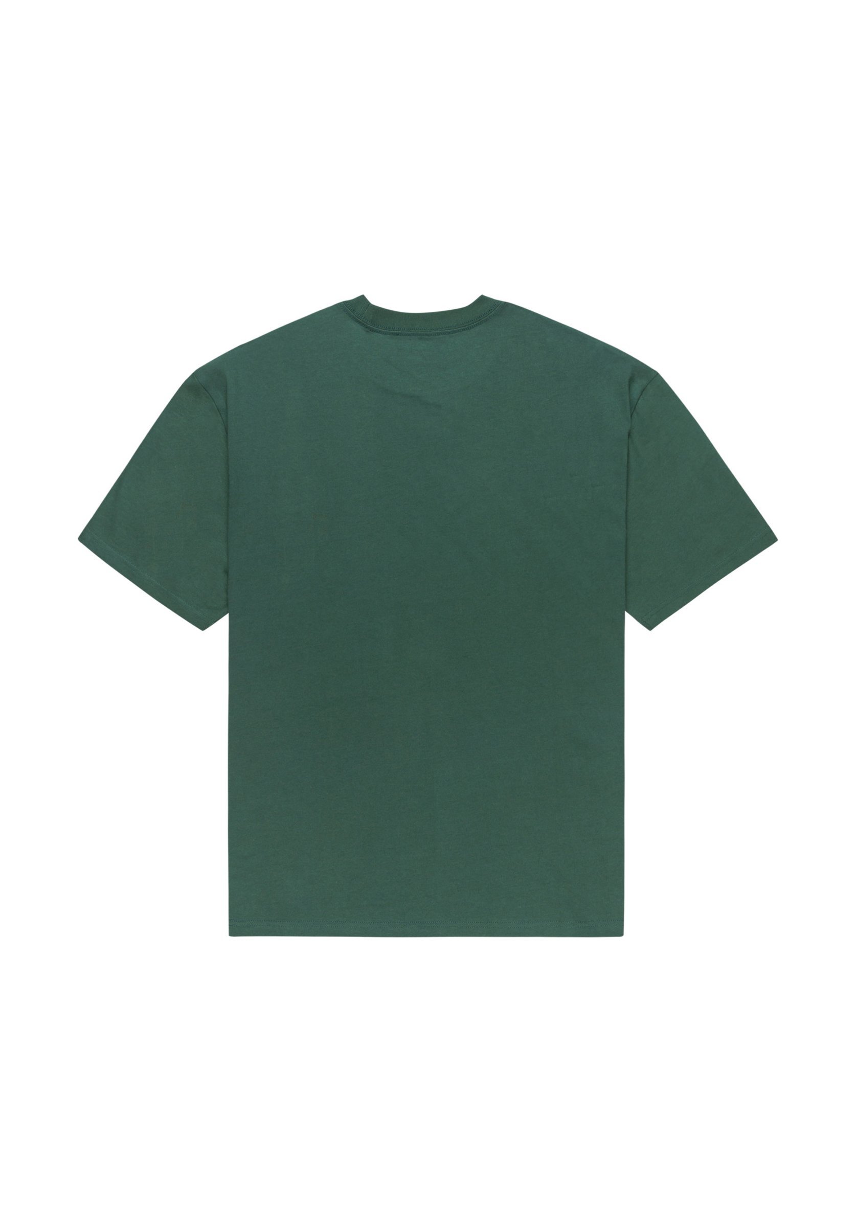 T-shirt Quiksilver DNA CLICKER TEE - Stampa - verde trekking