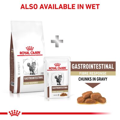 Réponse gastro-intestinale aux fibres félines Royal Canin Expert