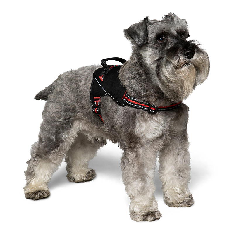 Zoozaker Hundesele 35 cm, med håndtag