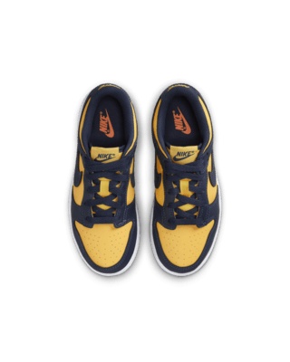 Nike Dunk Low Little Kids' Shoes