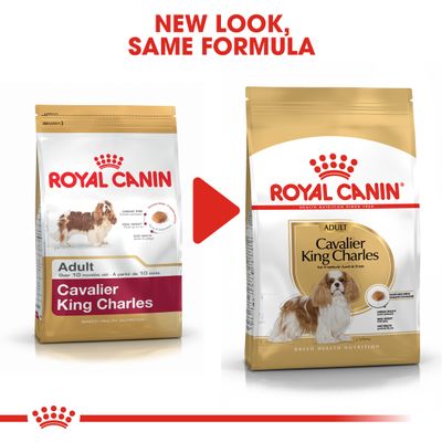 Royal Canin Cavalier King Charles Adulto