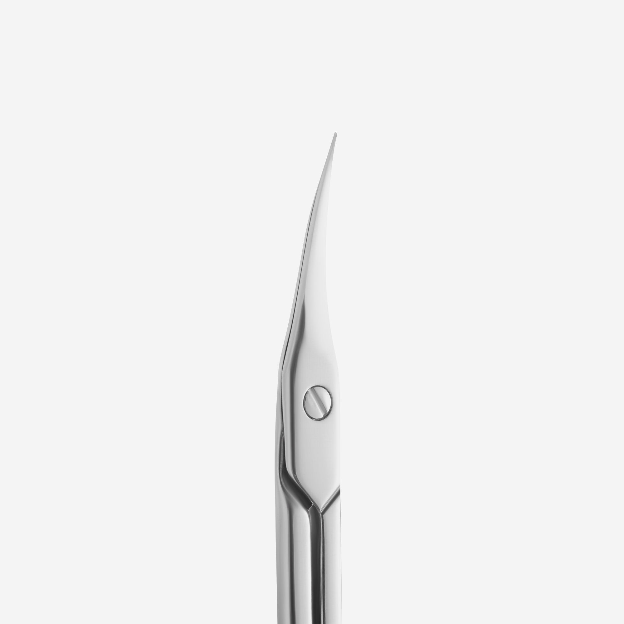 Staleks Pro Expert 50 SE-50/2