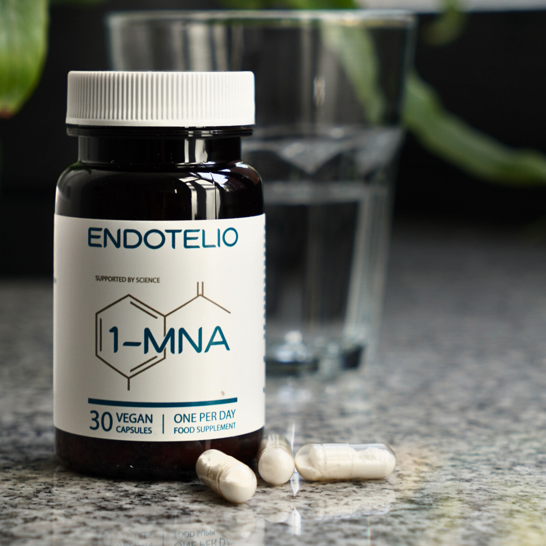 Endothélial