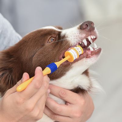Kit de higiene bucal Arm & Hammer com escova e pasta de dente.