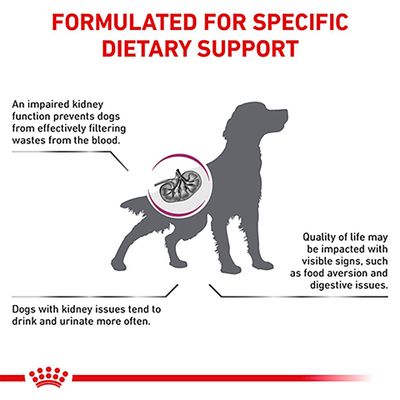Royal Canin Vétérinaire pour Chiens - Rénal