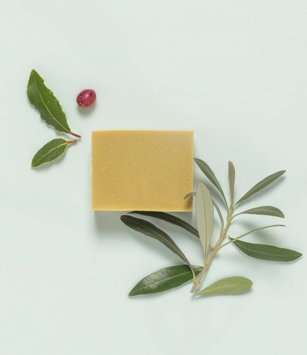 Savon Tradition d'Alep - végétal & SAF