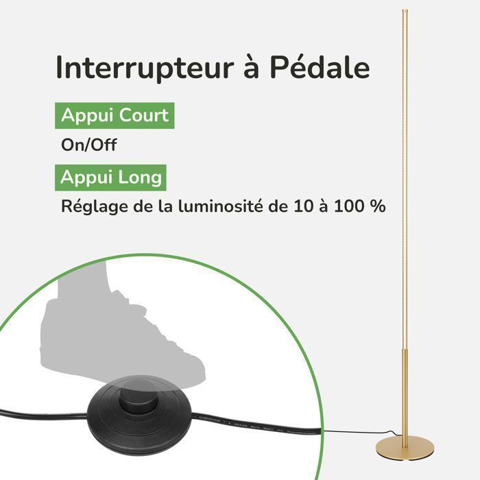 EDISHINE Lampadaire LED sur Pied Salon Dimmable, 19W 1100LM 3000K Blanc Chaud, 147cm, doré - lampe d'ambiance
