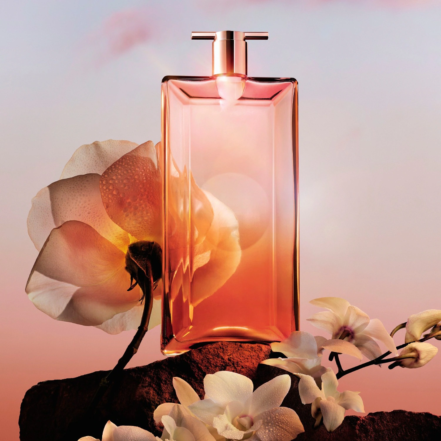 Lancôme NOW