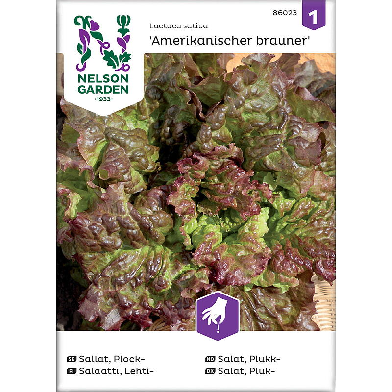 Nelson garden Seeds Salatpinde-, amerikansk brun