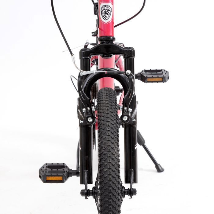 Leawin 20-Inch Children's Bike, Pink – Mountain Bike for Boys and Girls Ages 6 to 10 – Single Speed – V-Brakes – Steel Frame – Junior Bike
