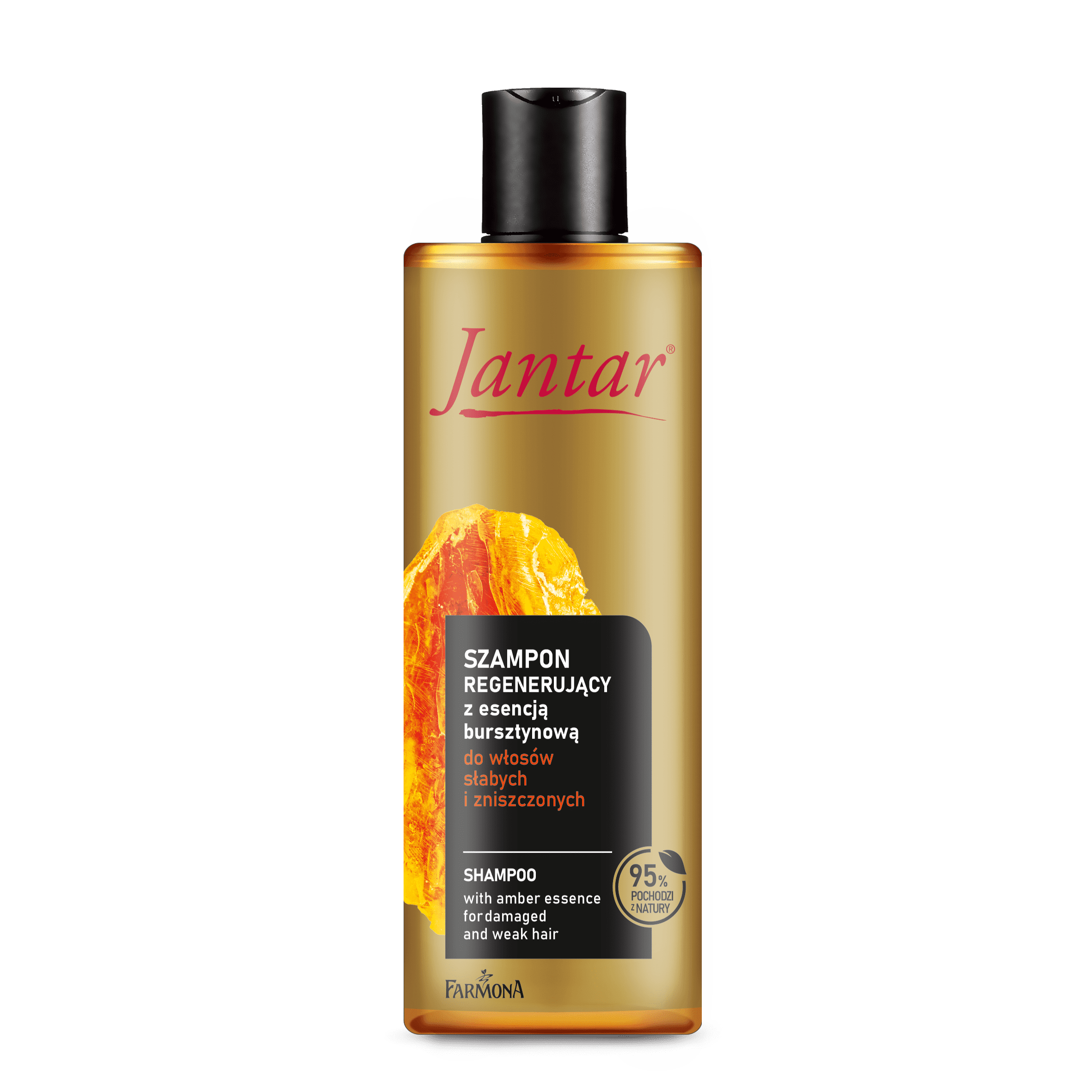 Jantar Amber Regeneration