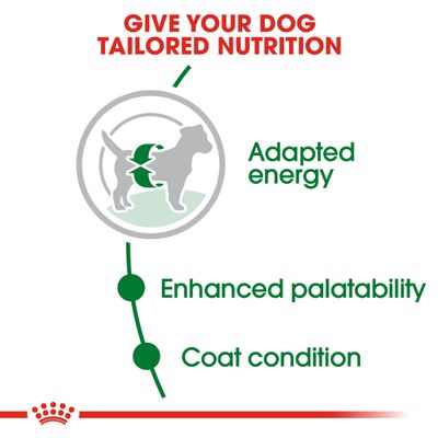 Royal Canin Mini Volwassene