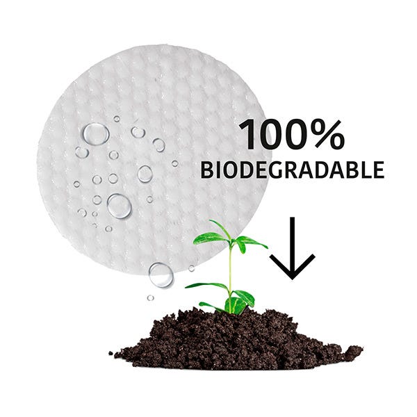 Discuri luminoase cu ananas | 10 bucăți