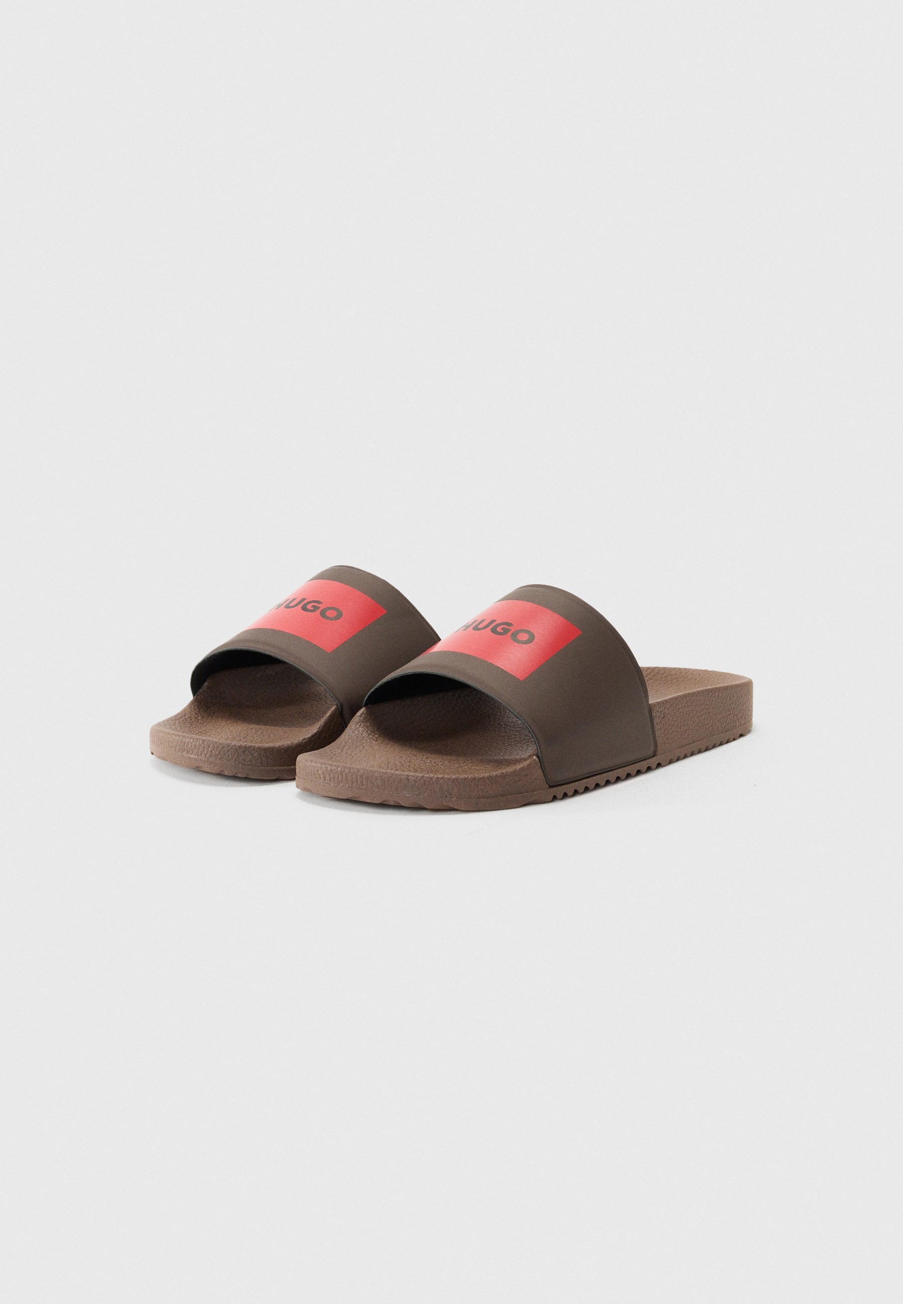 HUGO TIMEIN - Baseino kalneliai - rudi