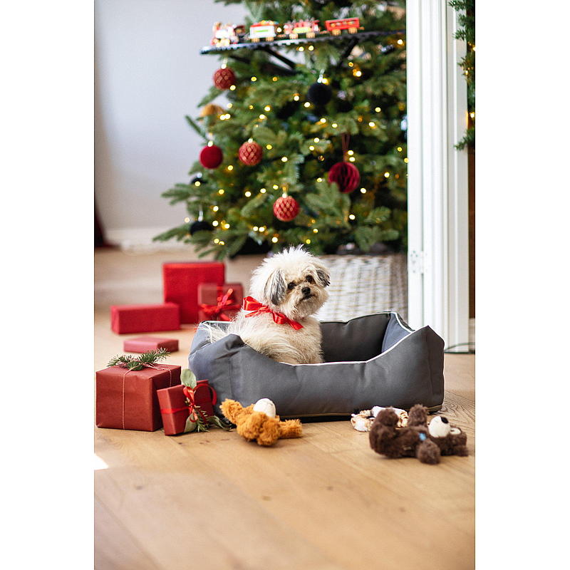 Zoozaker hundeseng 75x48x20 cm Oxford