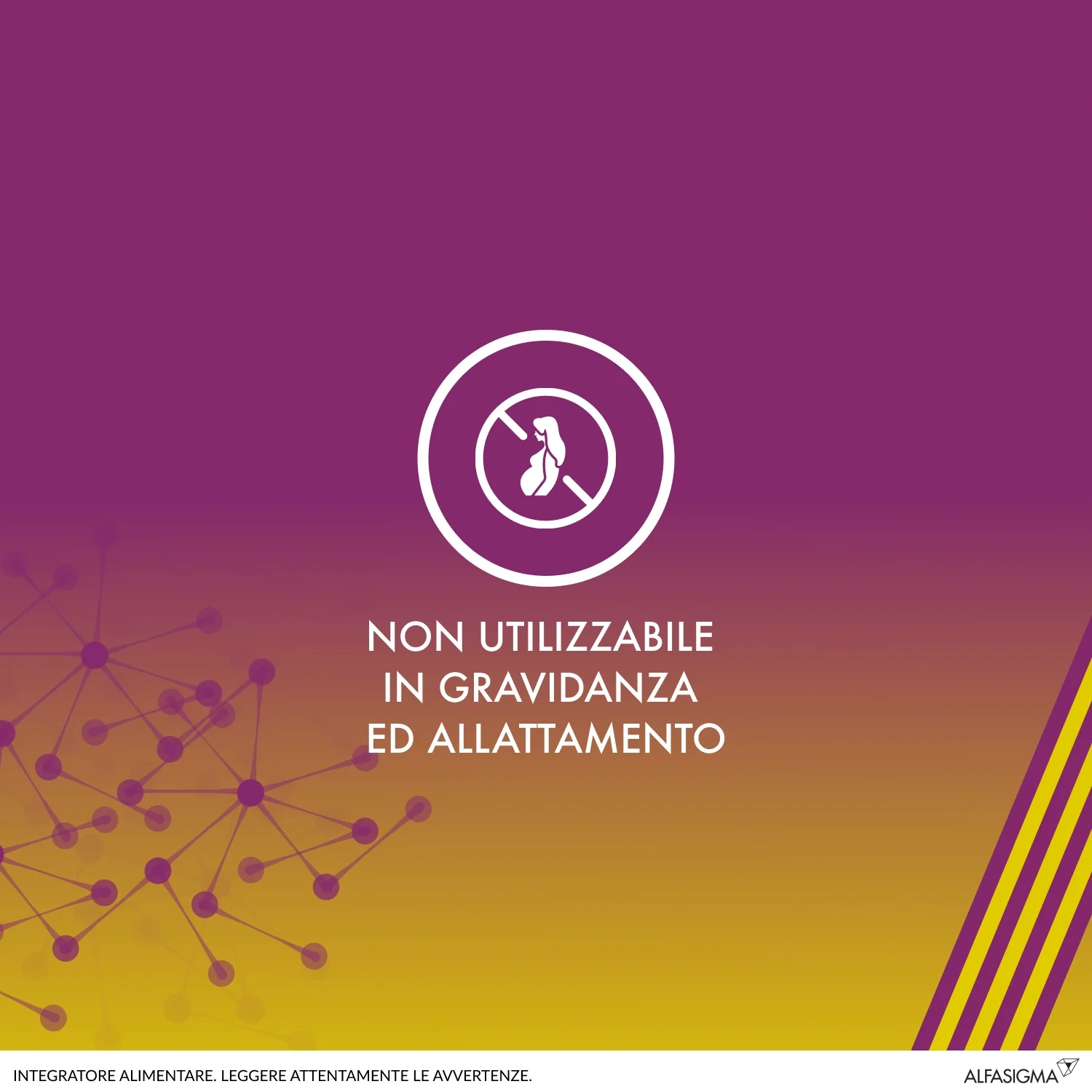 ALA Alanerv On Neurotrophic 20 comprimidos Suplemento antioxidante