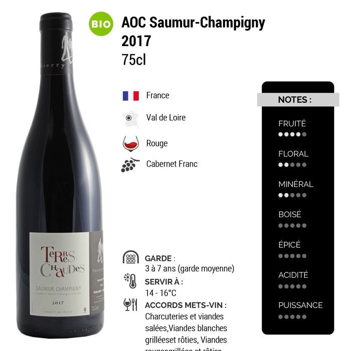 Domaine des Roches Neuves Saumur-Champigny Terres Chaudes 2017 - Red Wine from the Loire Valley (3x75cl) Organic