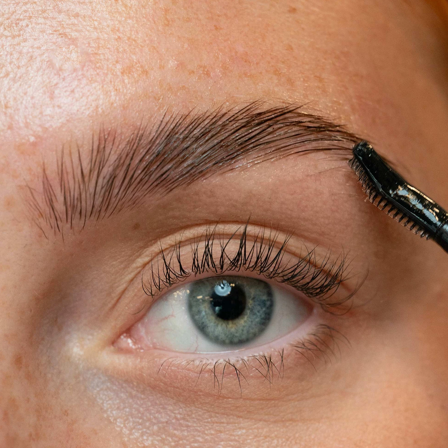 Epilarea sprâncenelor Ceara pentru sprâncene - LH cosmetics