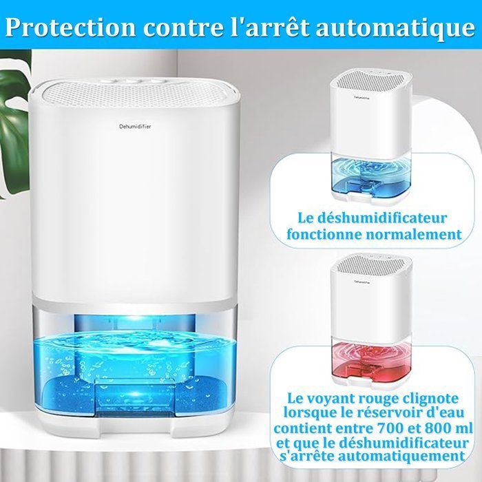 Deumidificatore d'aria portatile da 1000 ml, 350 ml/giorno, con 7 LED colorati e spegnimento automatico, ideale per bagno e camera da letto.
