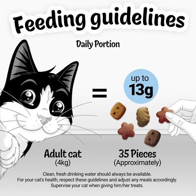 Friandises pour chats Felix Goody Bag Maxi Pack 200g
