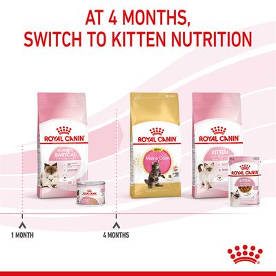 Royal Canin Mother & Babycat Ultra Soft Mousse
