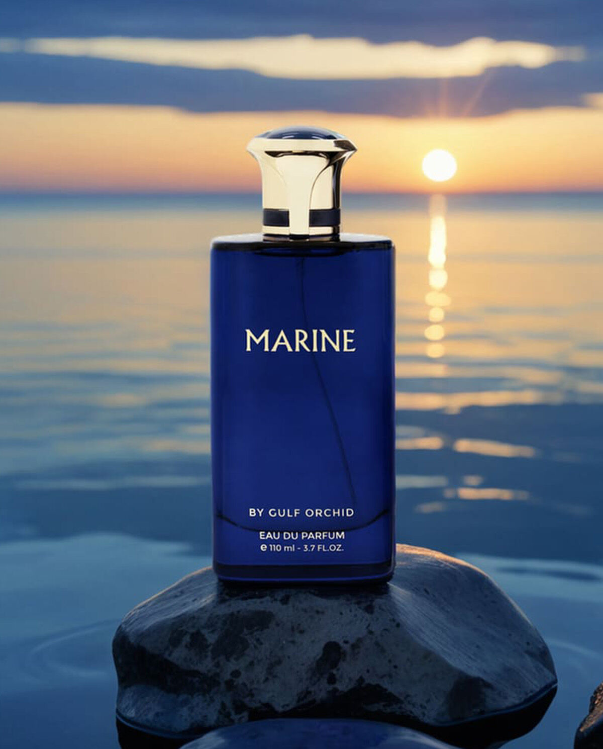 Golf-Orchidee Marine